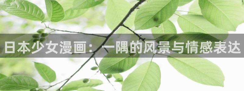 包子漫画-免费：日本少女漫画：一隅的风景与情感表达